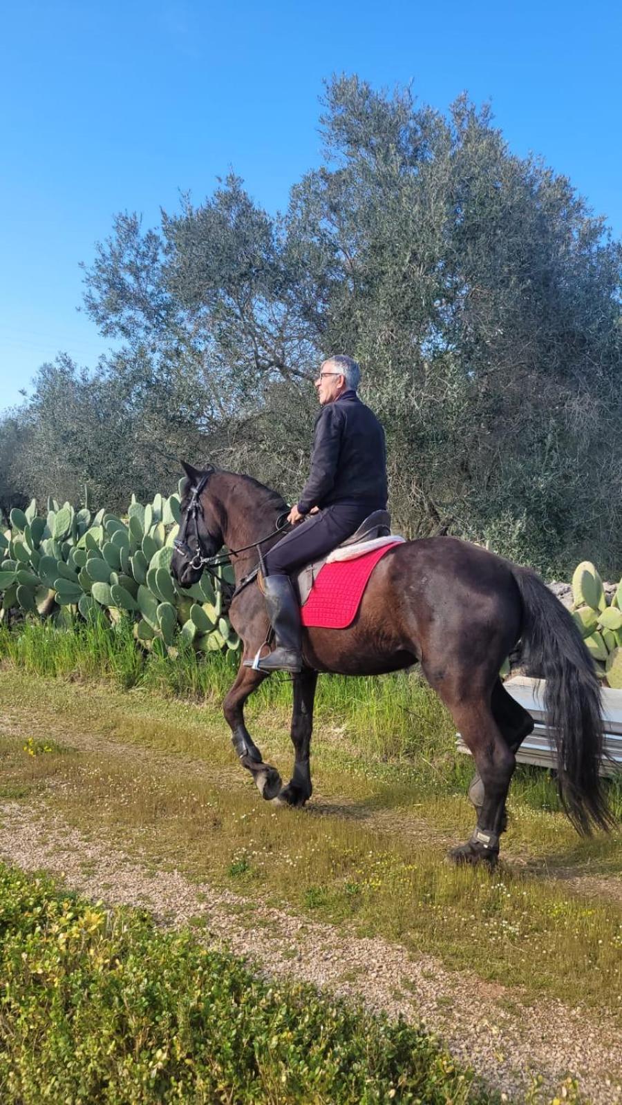 La Macchia Villa Botrugno Esterno foto